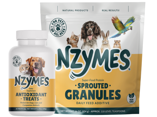 Core Foundation System