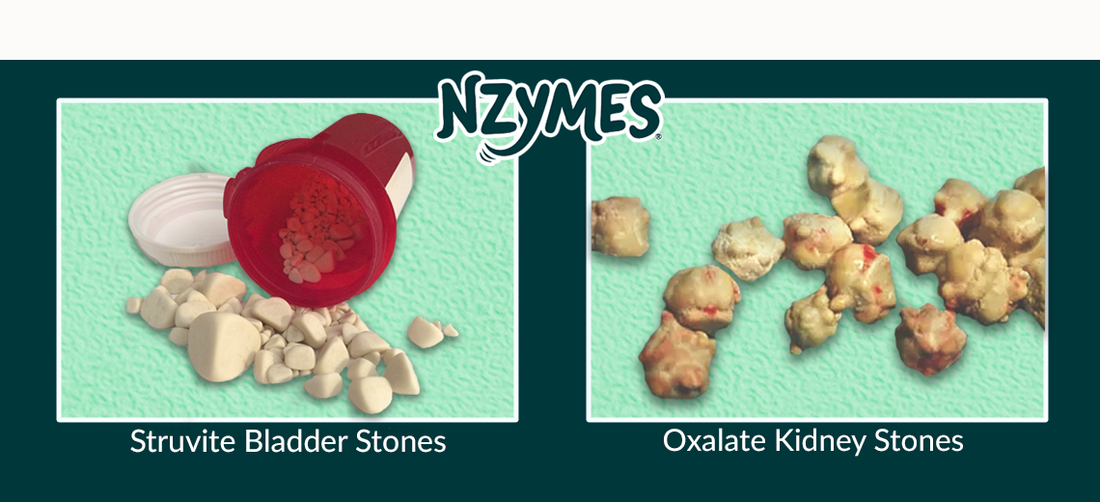Urinary Crystals and Stones in Dogs
