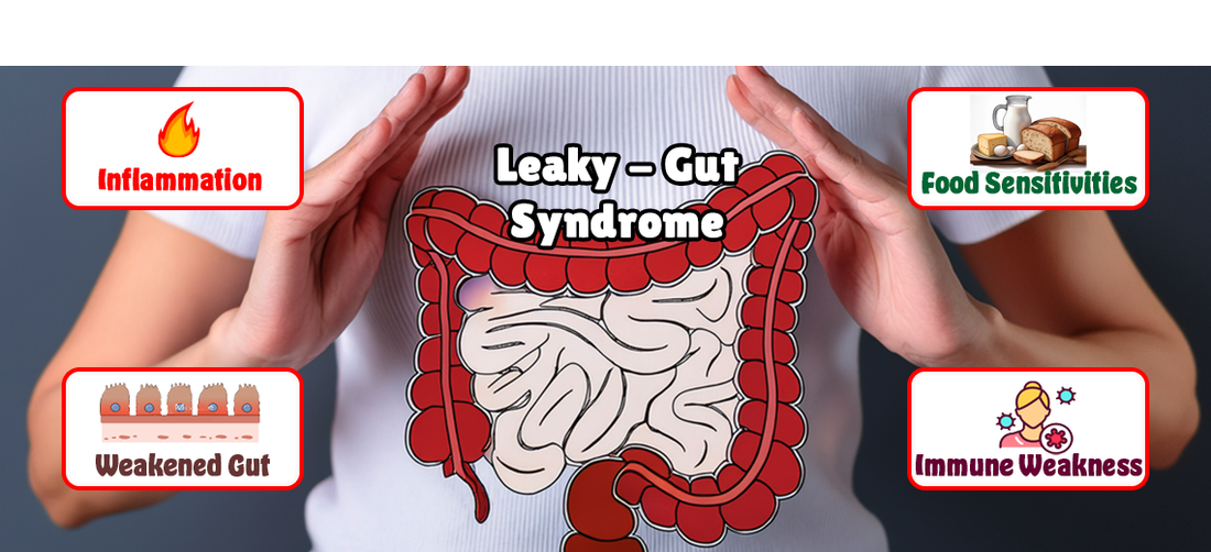 Leaky Gut Syndrome and You
