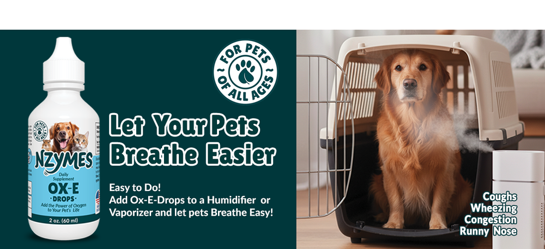 Respiratory Support Program for Dogs and Cats