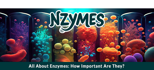 All About Enzymes: How Important Are They?