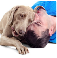 Labrador Overcomes Itchy Skin Problems & Sores