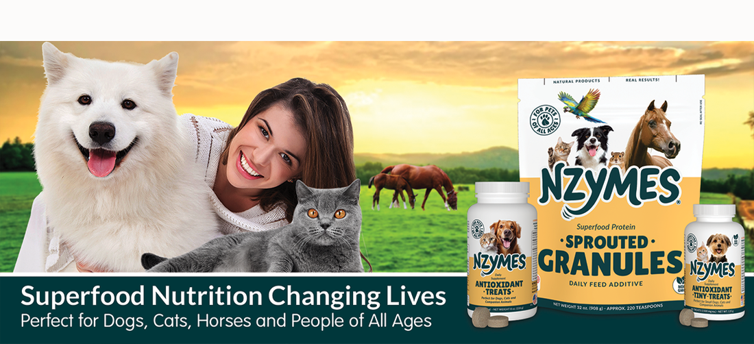 Nzymes Superfood Nutrition, Super Results