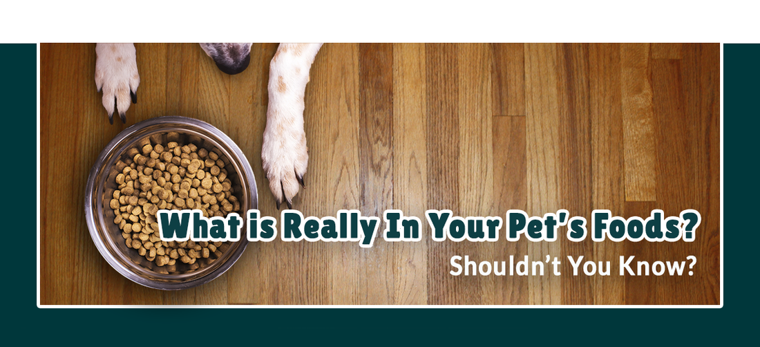 What’s Really In Pet Foods?
