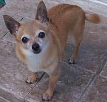 Baya - Seizures - Blog post