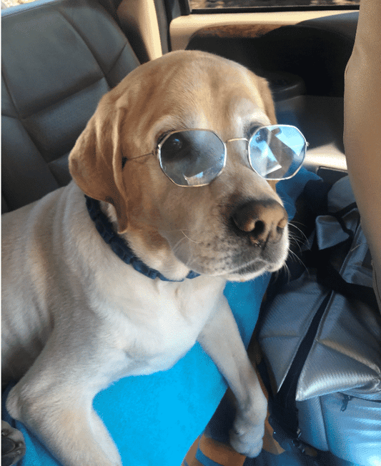 Cooper - Mobility - Blog post