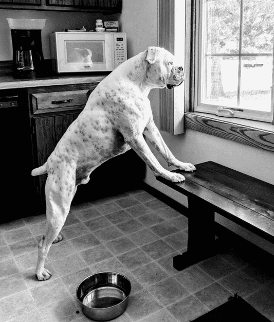 Marlon - Mobility - Blog post