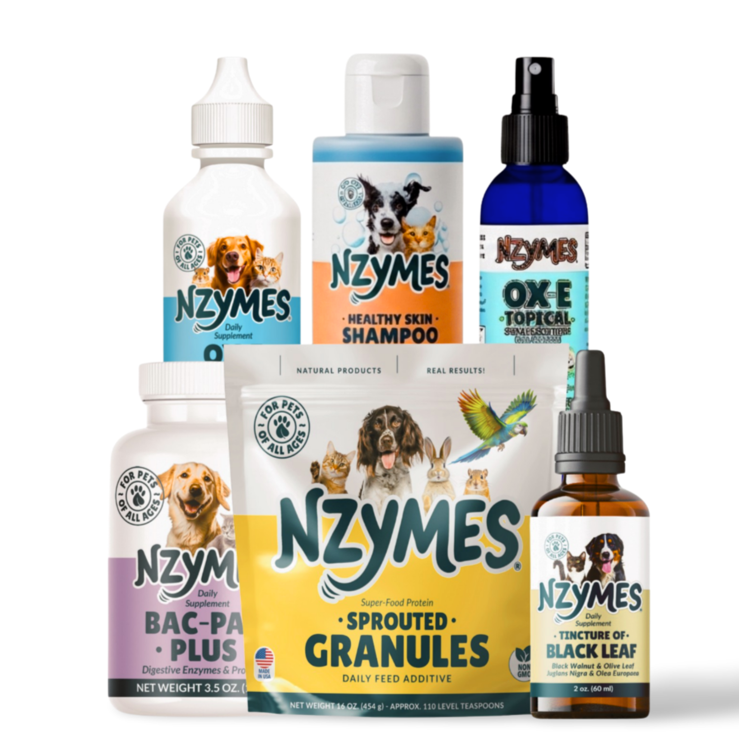 Nzymes Best Sellers