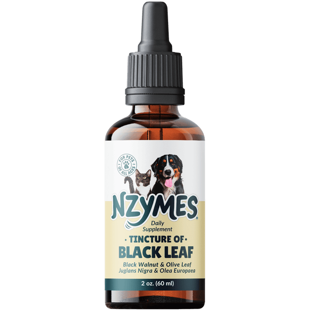 Bottle of Nzymes® Tincture of BlackLeaf - Natural Yeast & Immune Support for Pets