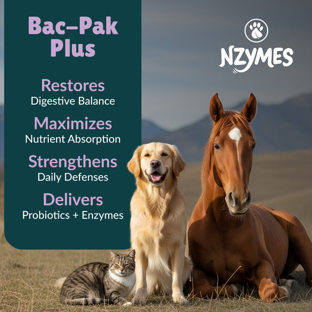 Bac-Pak Plus