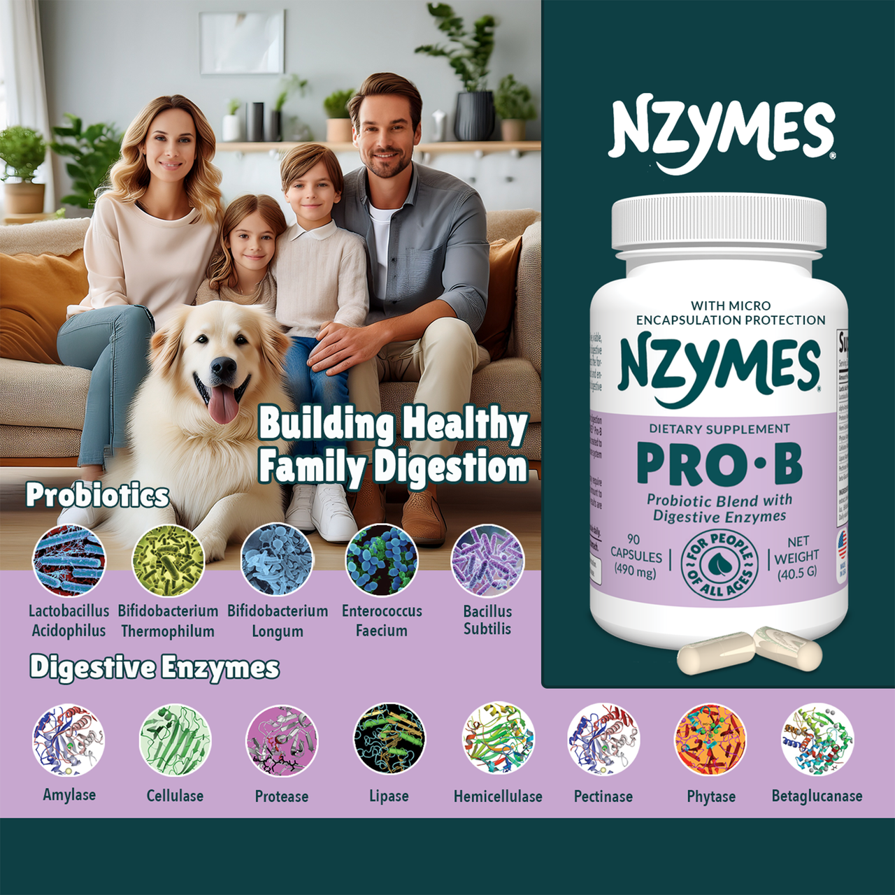 Pro-B Probiotics and Digestive Enzymes