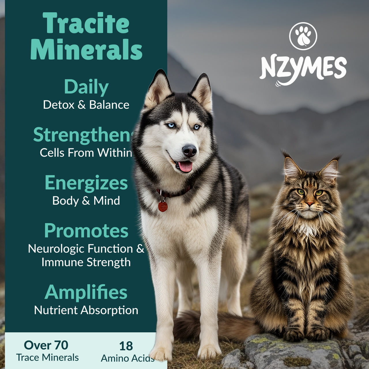 Tracite Minerals