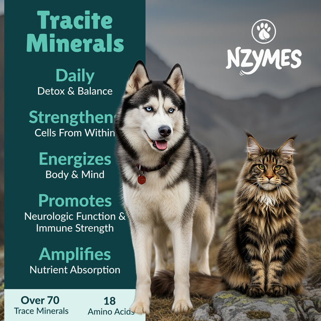 Tracite Minerals