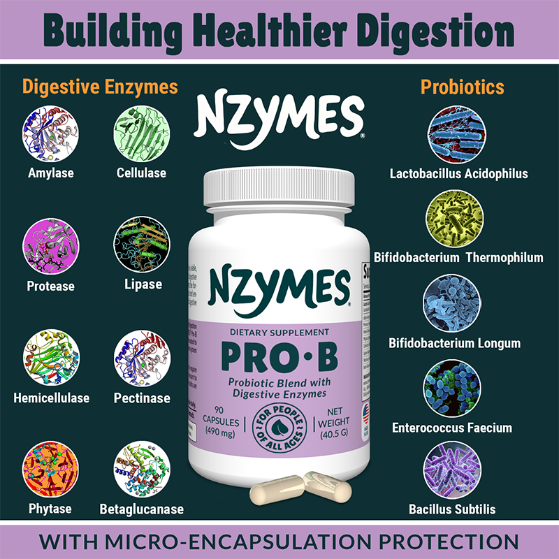 Nzymes® Pro-B – Probiotics & Digestive Enzymes for People – Gut Health, Immunity & Nutrient Absorption
