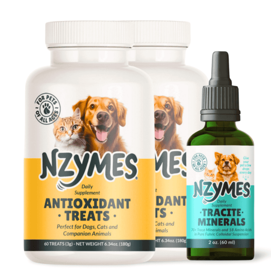 Back to Balance Bundle including Nzymes antioxidant treats and trace minerals supplement
