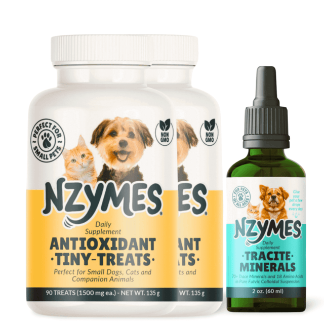 Back to Balance Bundle including Nzymes antioxidant treats and trace minerals supplement