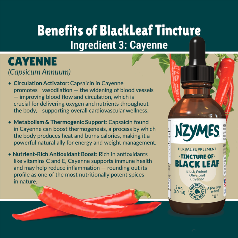 Black Leaf Tincture for People