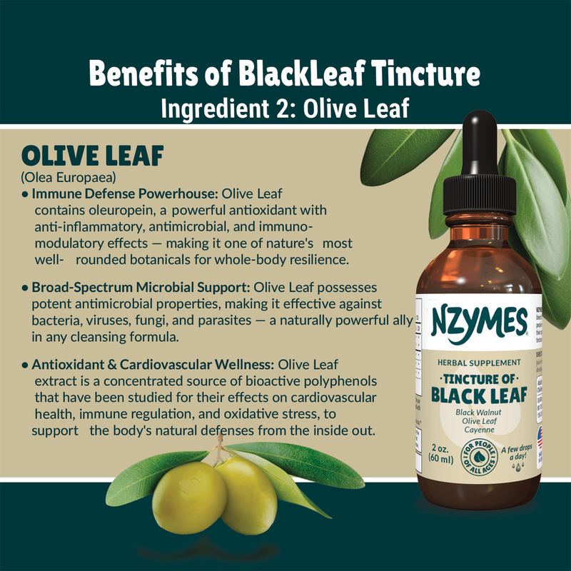 Black Leaf Tincture for People