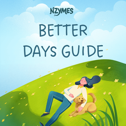 Better Days Guide for Back to Balance Bundle