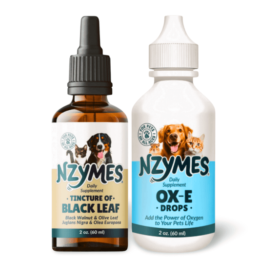 Two bottles of Nzymes supplements for pets - Nzymes® Immune Boost Bundle – Ox-E Drops & Black Leaf Tincture for Skin & Immune Support for Pets