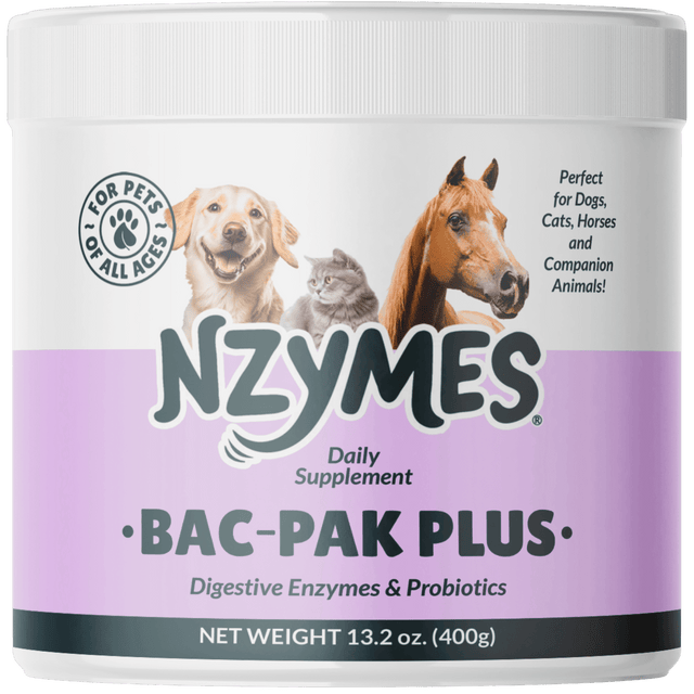 Nzymes® Bac-Pak Plus – Natural Digestive Enzymes and Probiotics for Healthy Digestion of dog, cat, and horse 