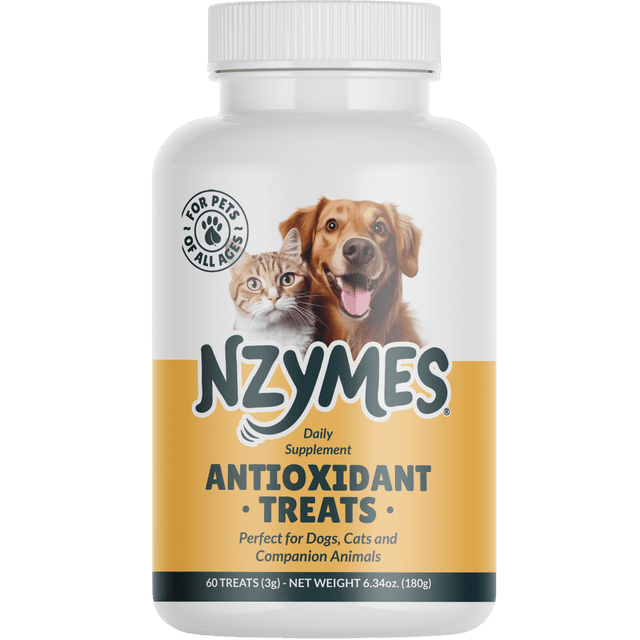 Antioxidant Treats