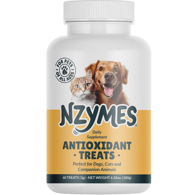 Antioxidant Treats