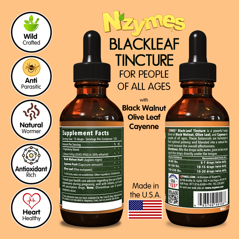 Nzymes® Black Leaf Tincture for People – Wild-Crafted Herbal Blend for Digestive, Immune & Cardiovascular Support