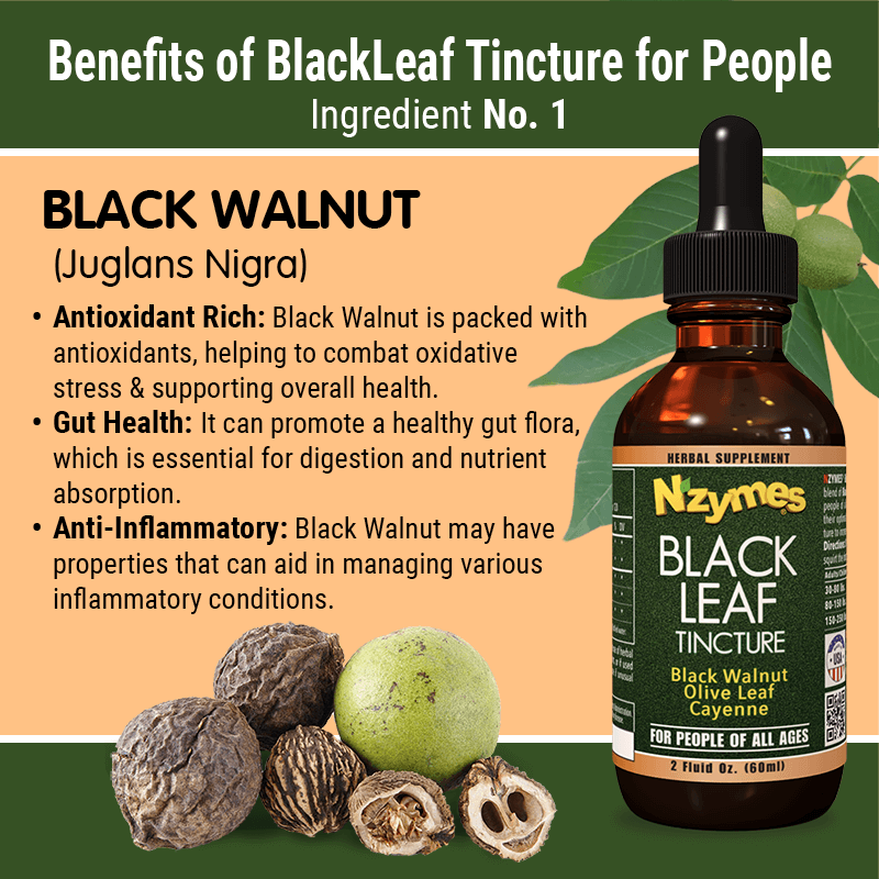 Nzymes Black Leaf Tincture bottle with black walnut ingredients and benefits