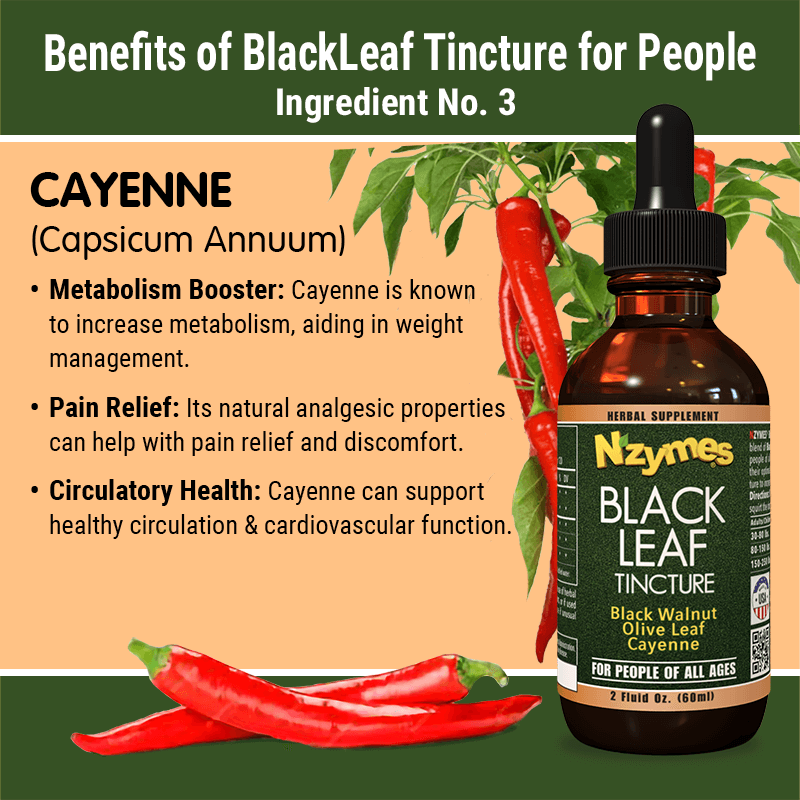 Nzymes Black Leaf Tincture bottle with cayenne pepper and text on benefits