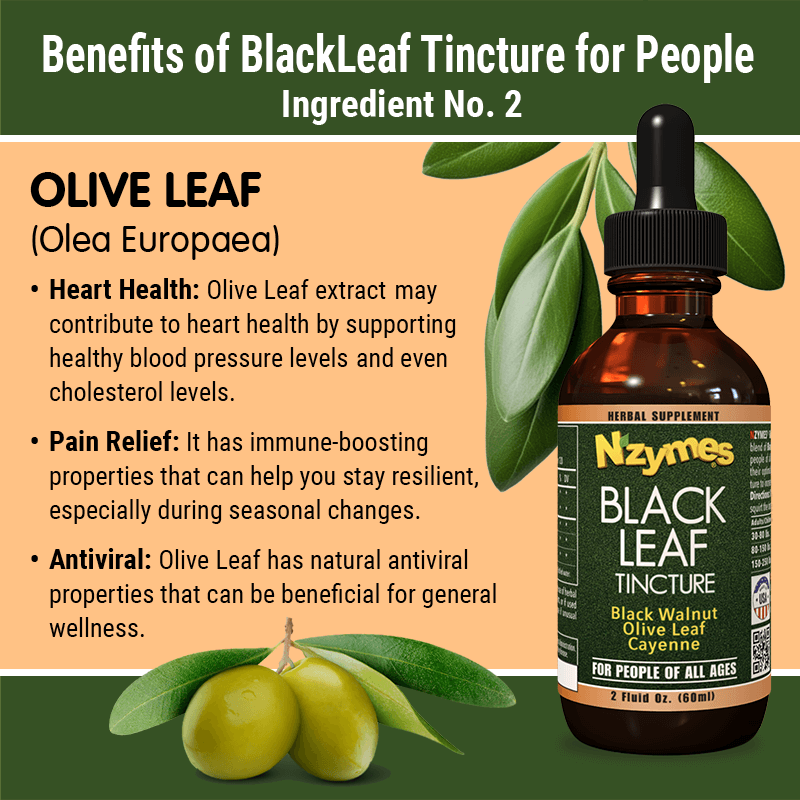 Nzymes Black Leaf Tincture bottle with olive leaves and text about its benefits