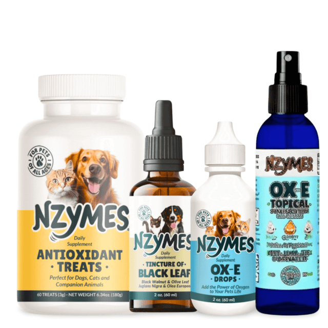 Collection of Nzymes pet supplement products for Wart Away Bundle – Antioxidant Treats, BlackLeaf Tincture, Ox-E Drops, Spray & Syringe